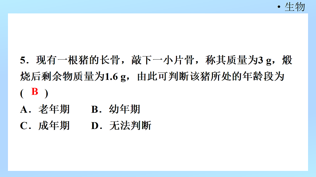 18218904第7页