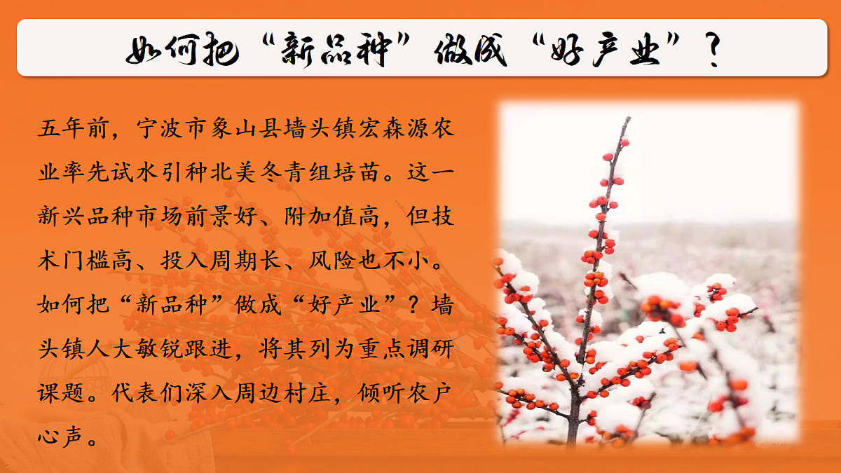 18219017第4页
