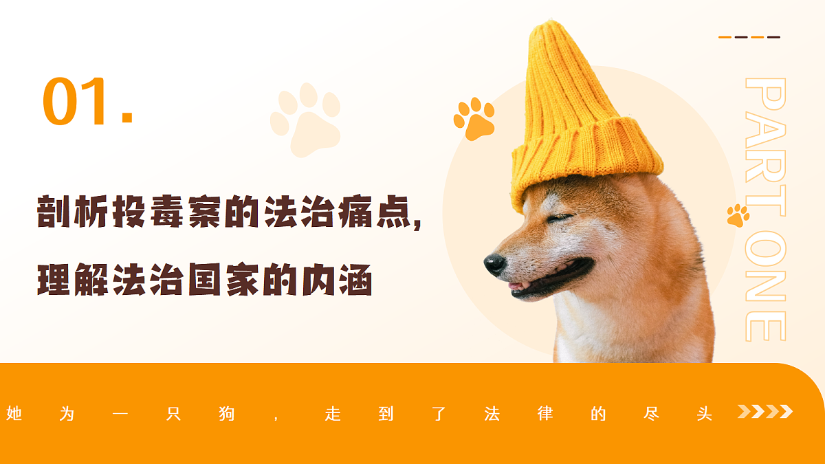 18219029第3页