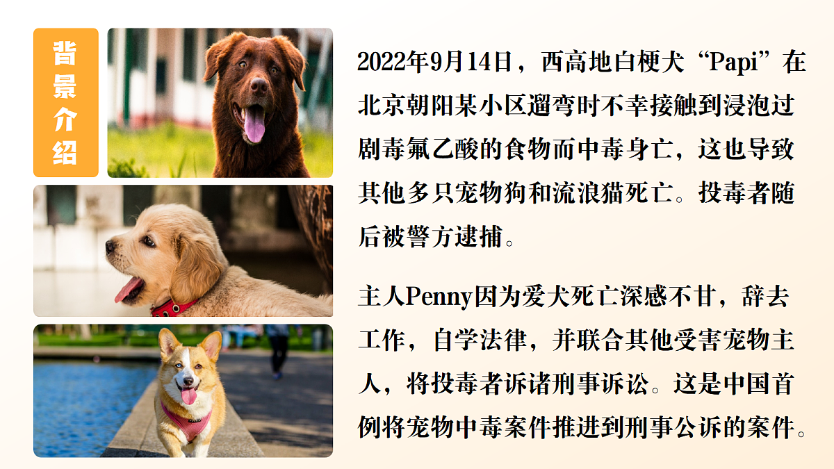 18219029第4页