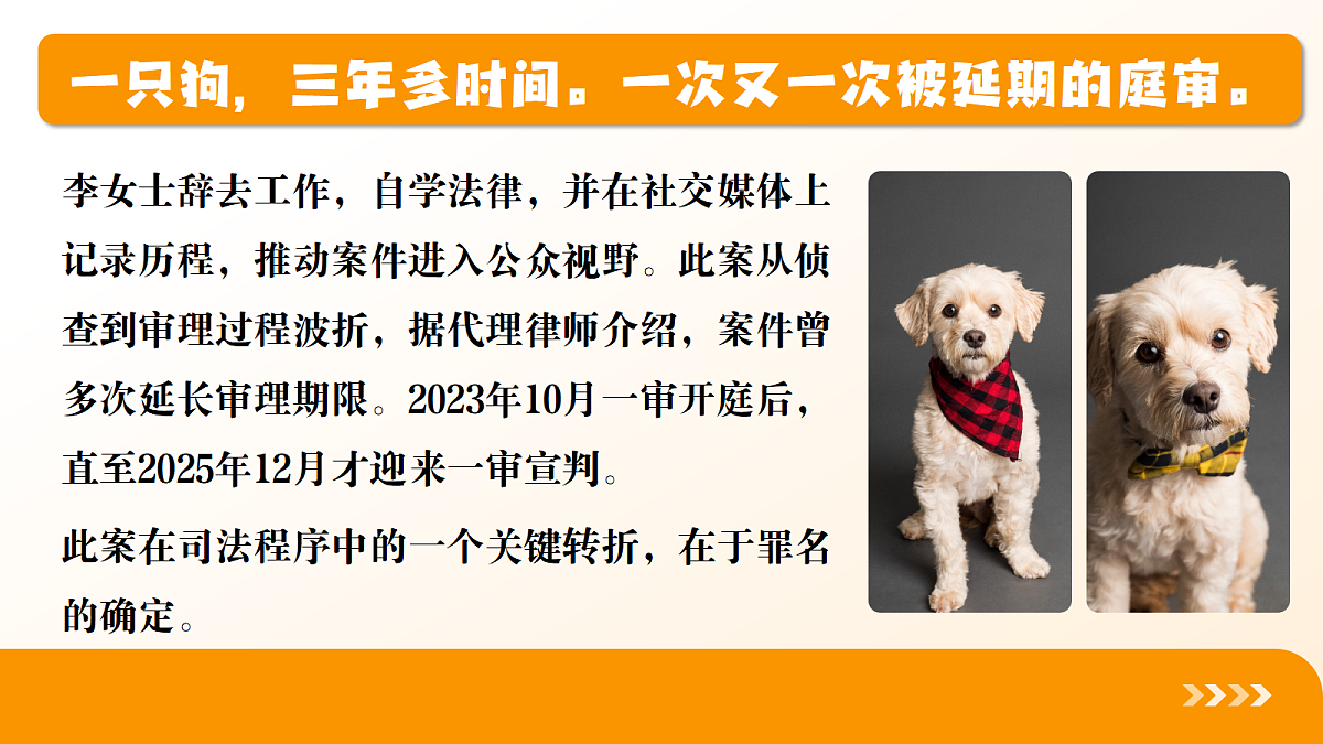 18219029第5页