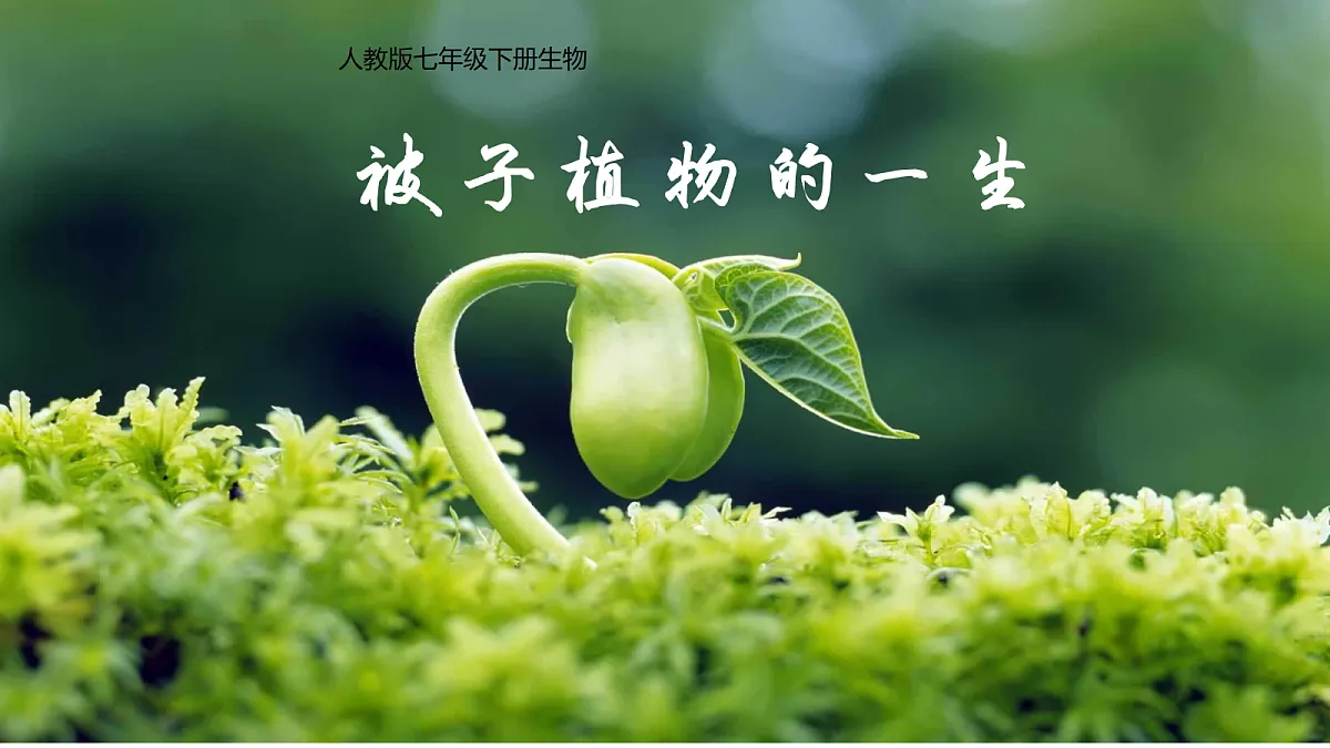 18219310第1页