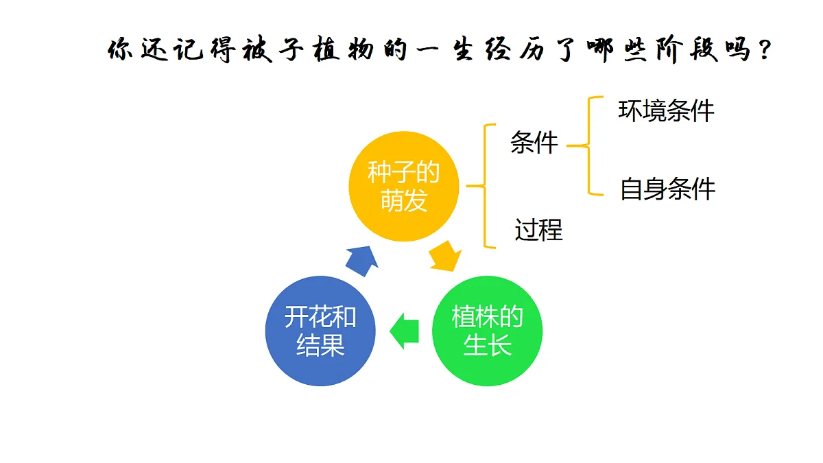 18219310第3页
