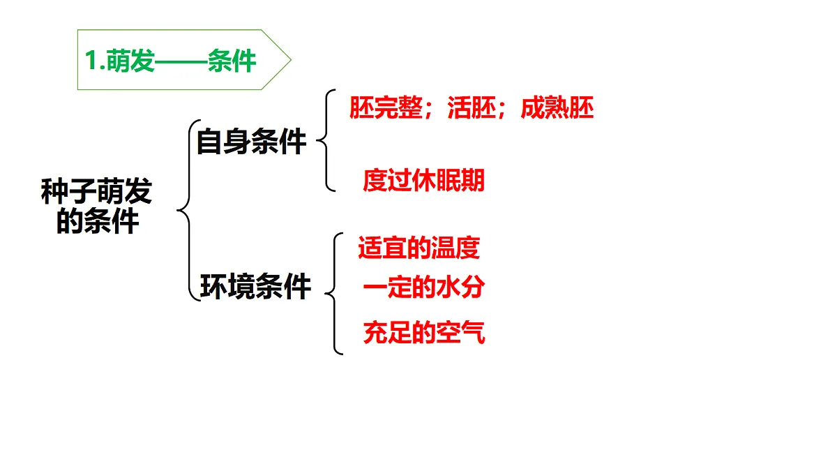 18219310第4页