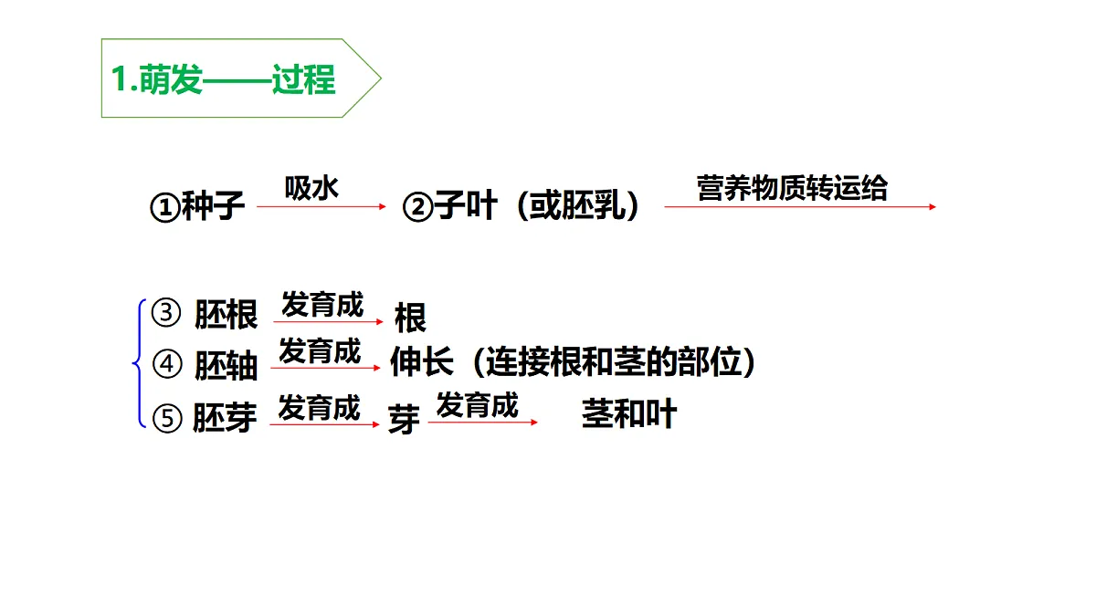 18219310第5页