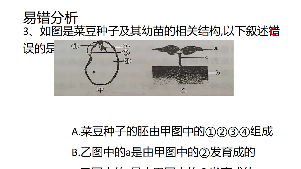 18219310第8页