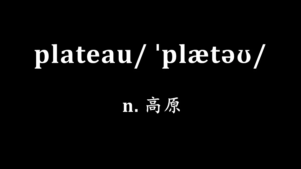 18219600第2页