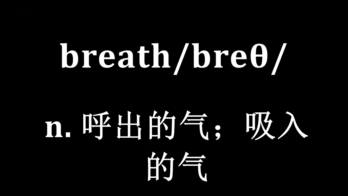 18219655第8页