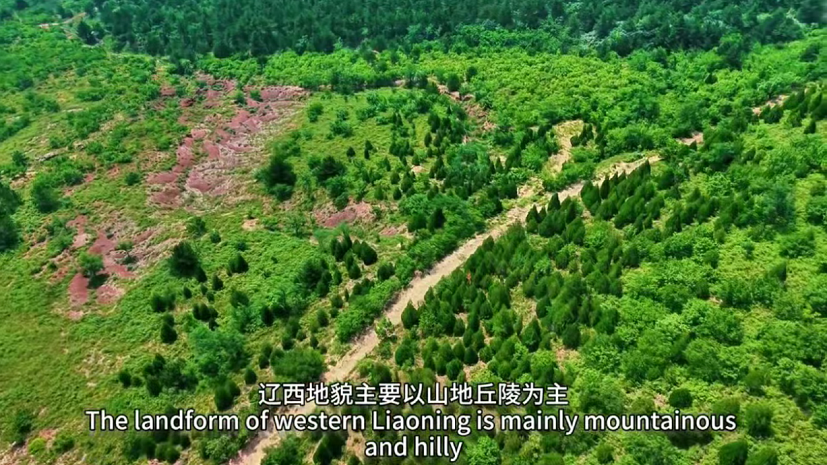 18221571第2页