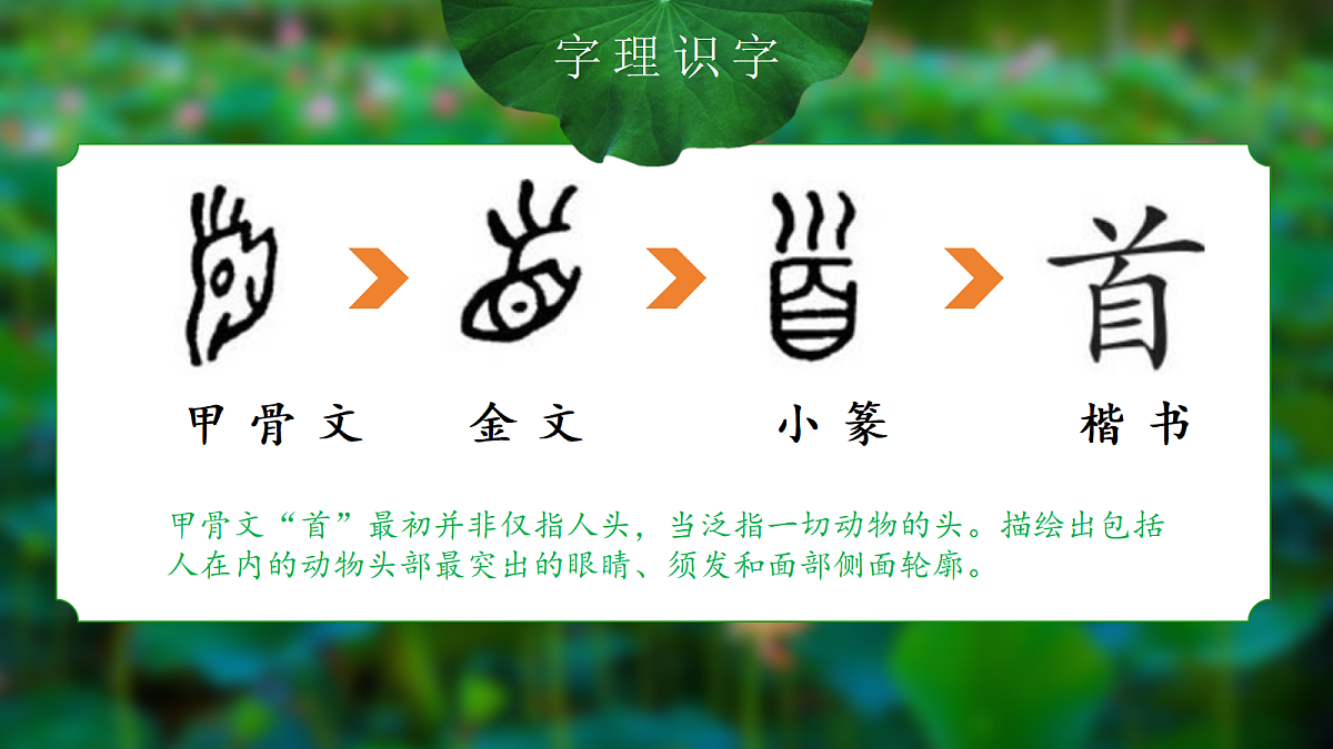 18221649第2页