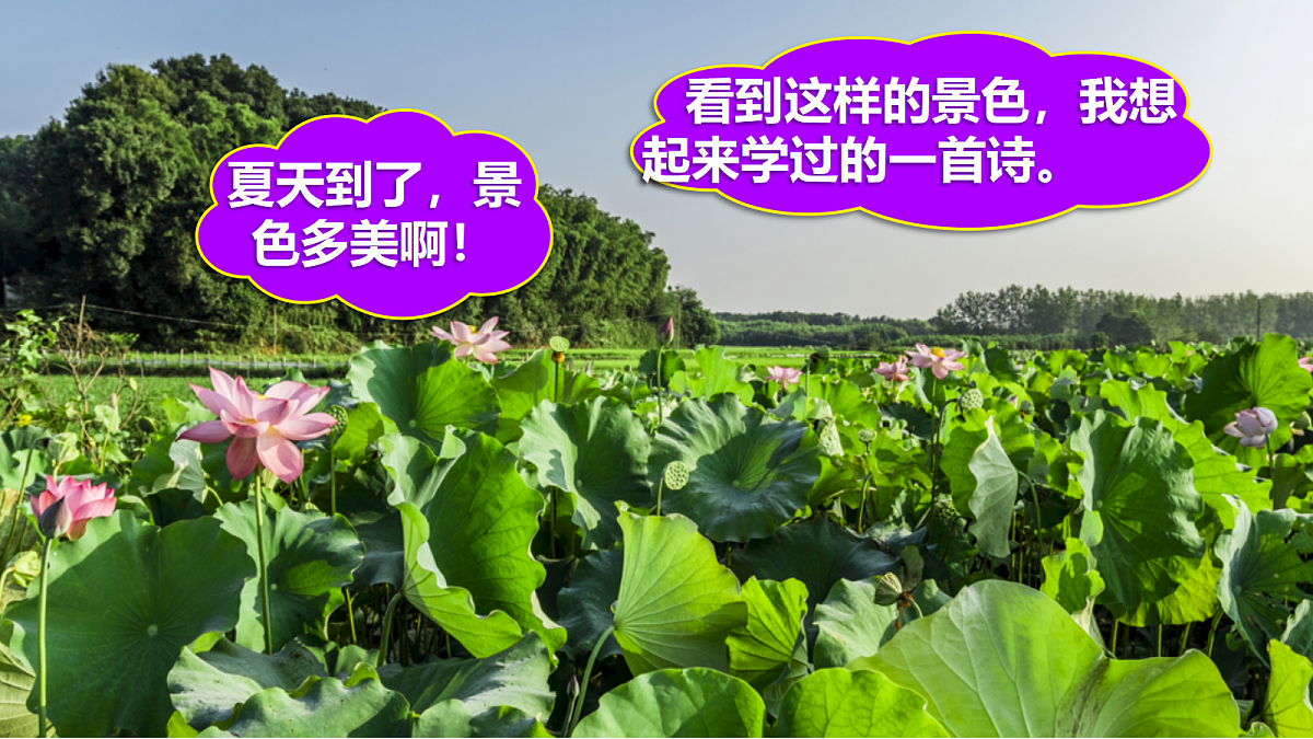 18221649第4页