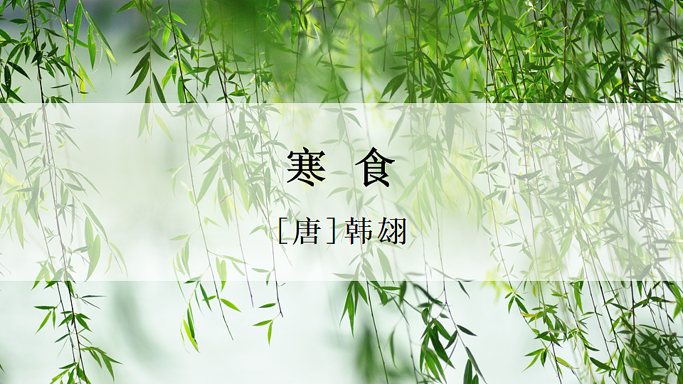3 古诗三首第3页
