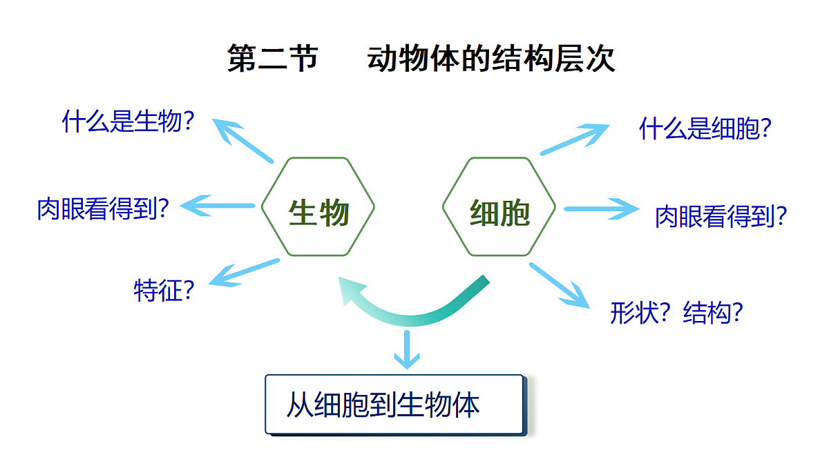 18222300第1页