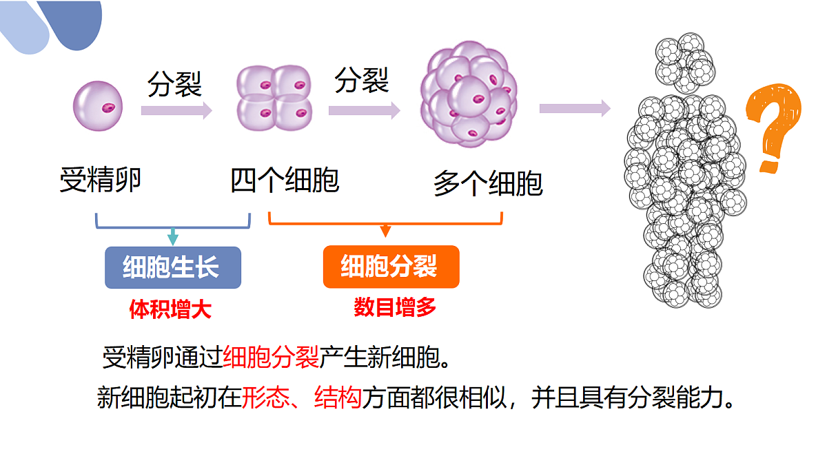 18222300第3页