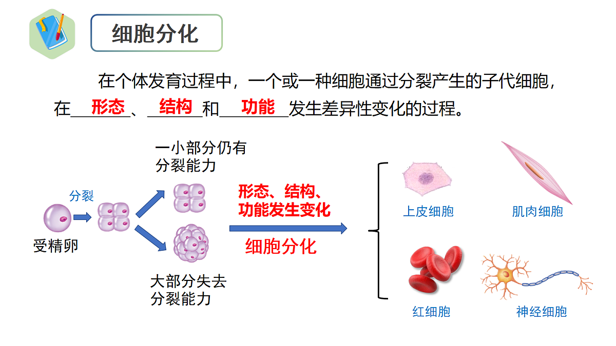 18222300第4页