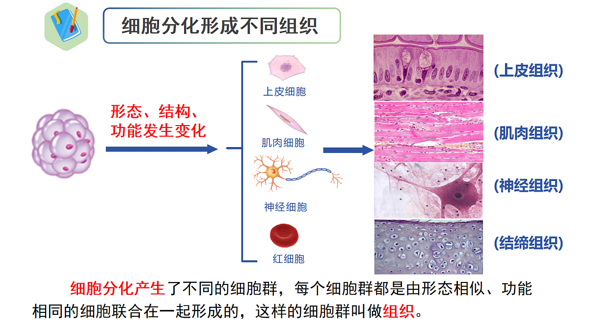 18222300第5页