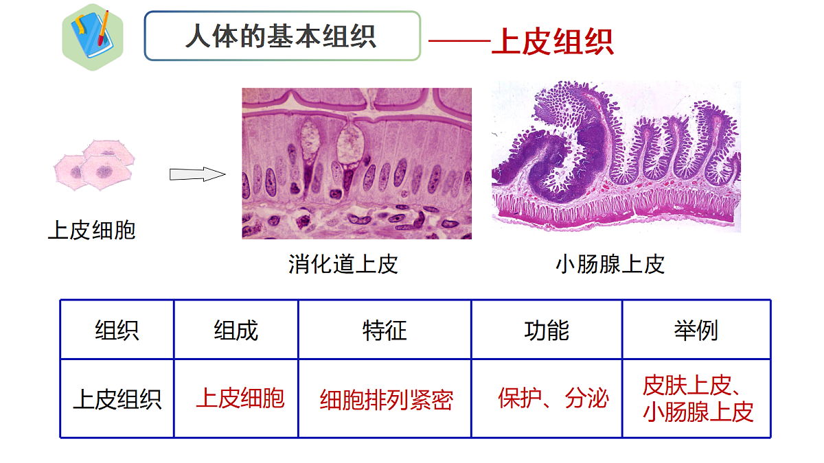 18222300第8页
