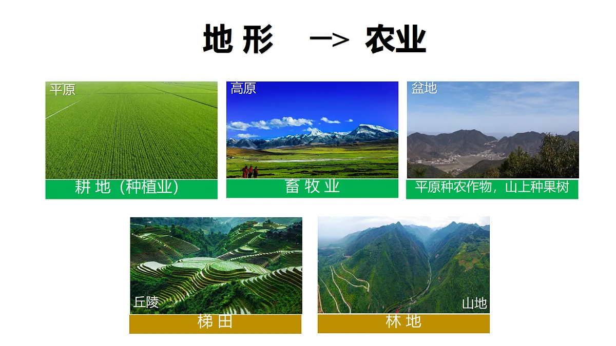 18223564第5页