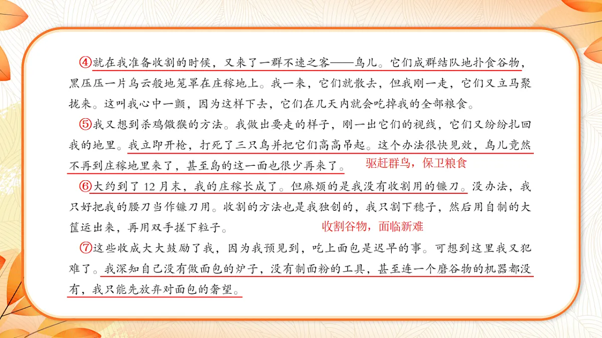 18224465第7页