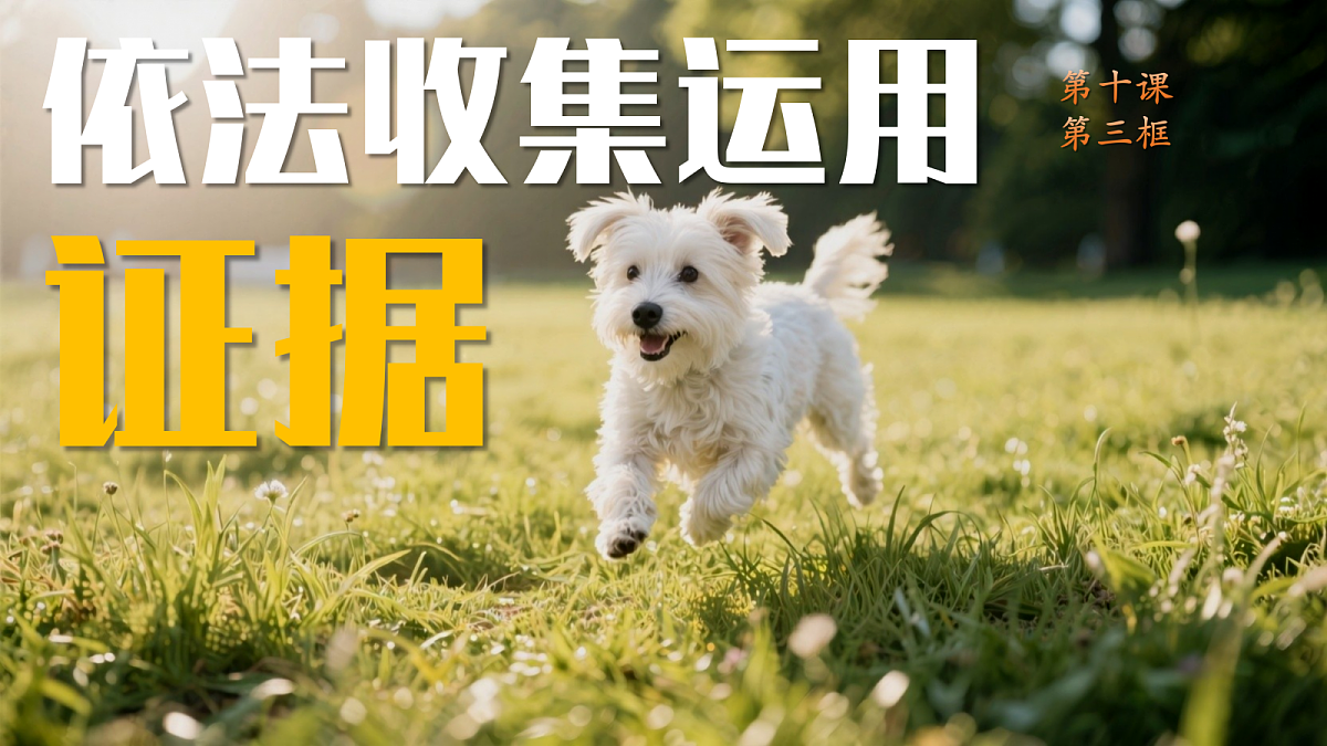 18224577第3页