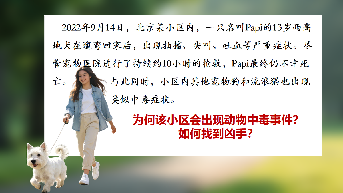 18224577第4页