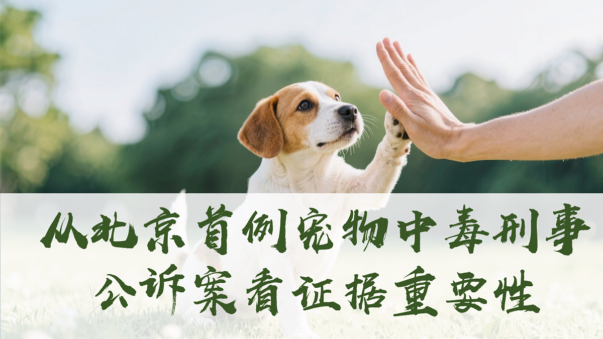 18224577第5页