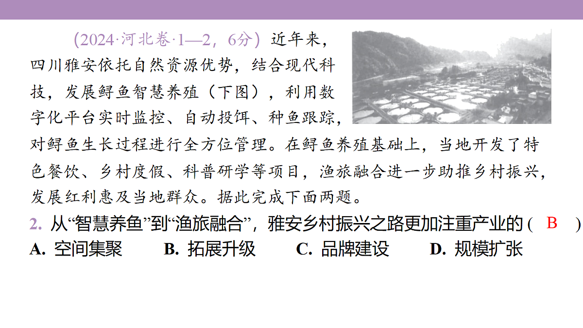 18224646第6页