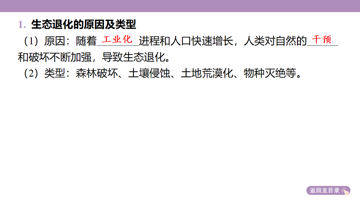 18224669第6页