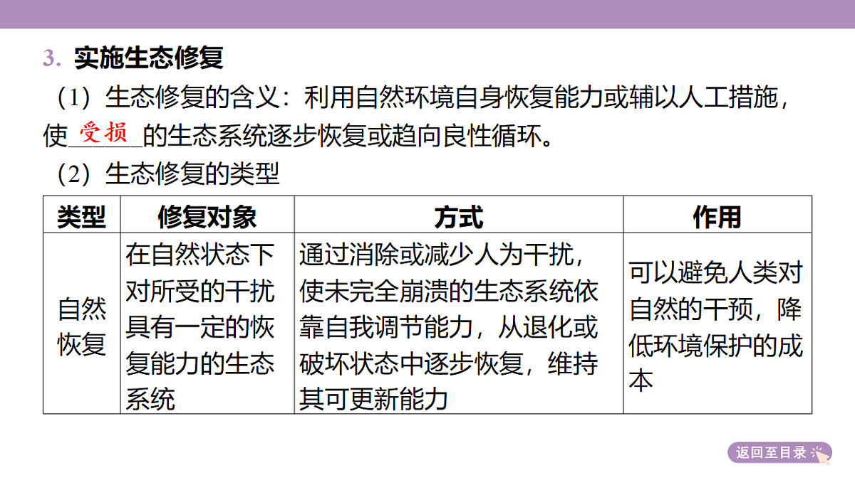 18224669第8页