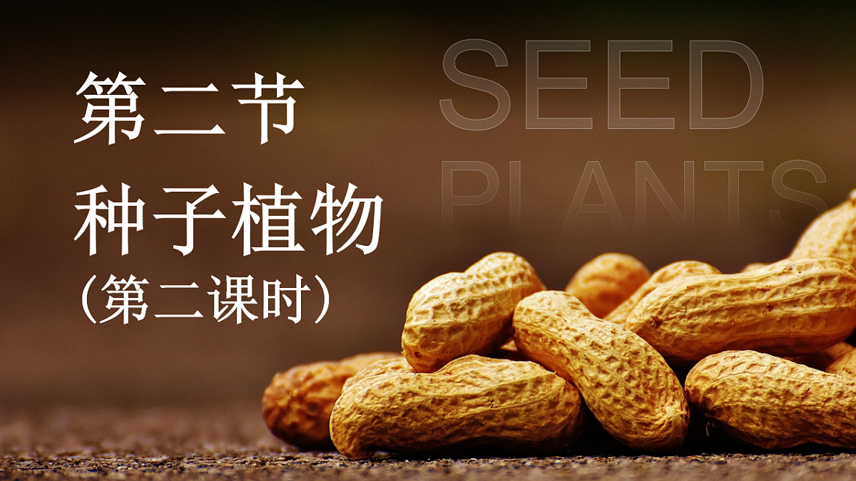 18225930第1页