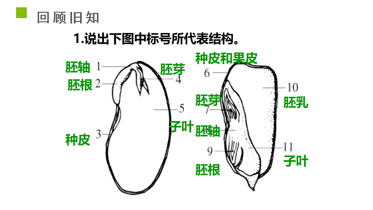 18225930第2页