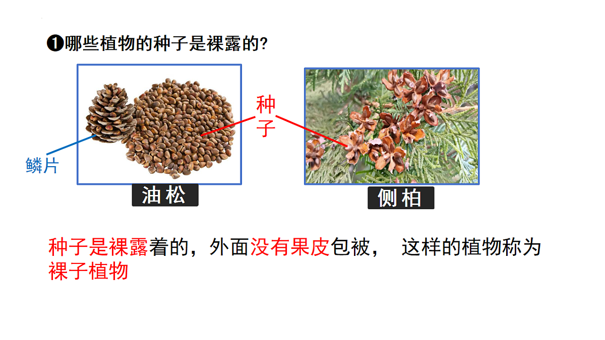 18225930第8页