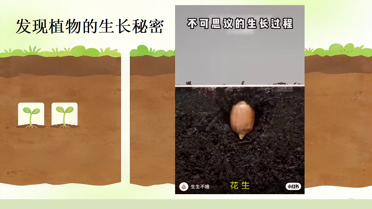 18229003第3页