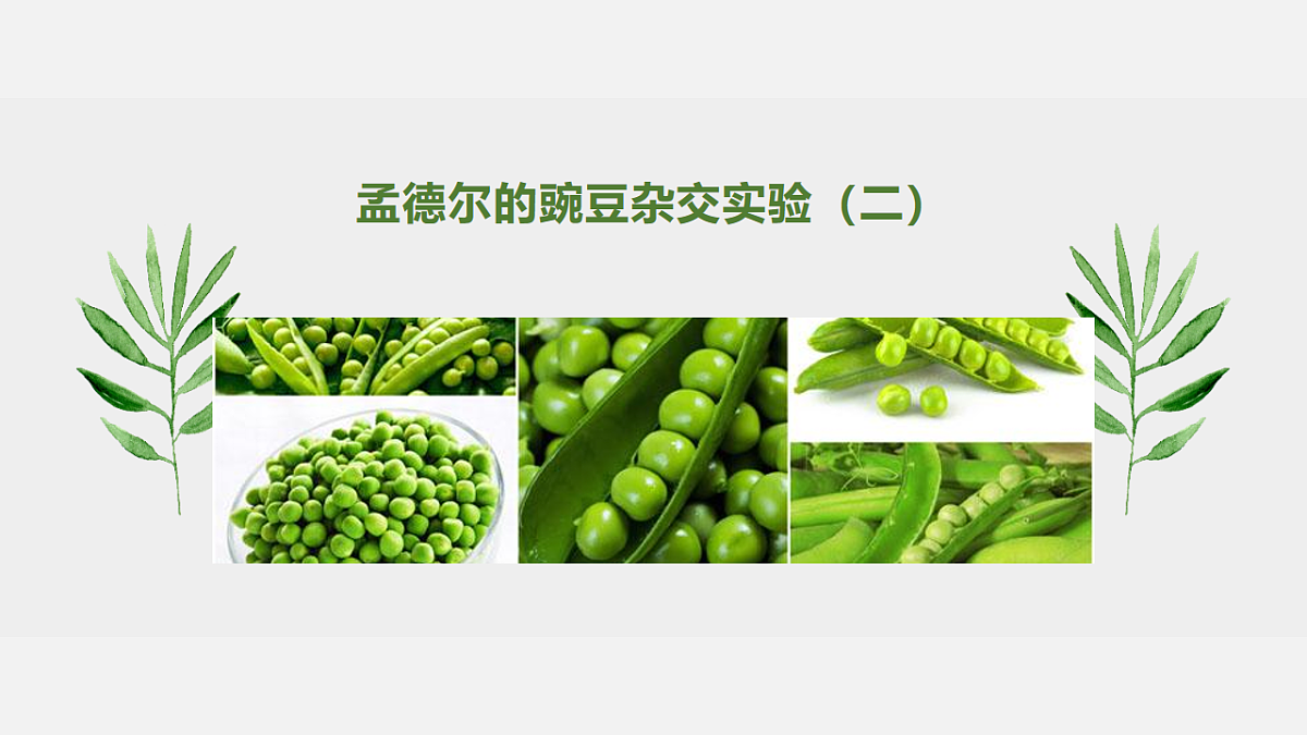 18229987第1页