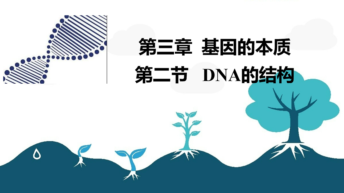 18229990第1页