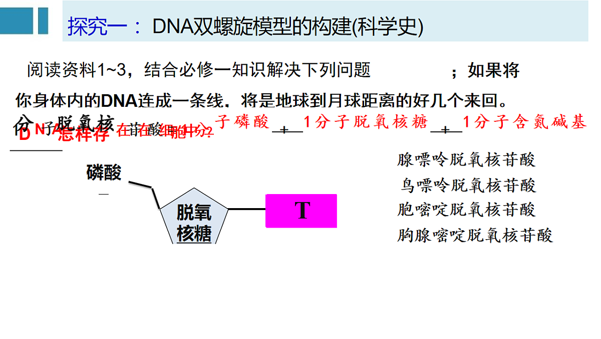 18229990第3页