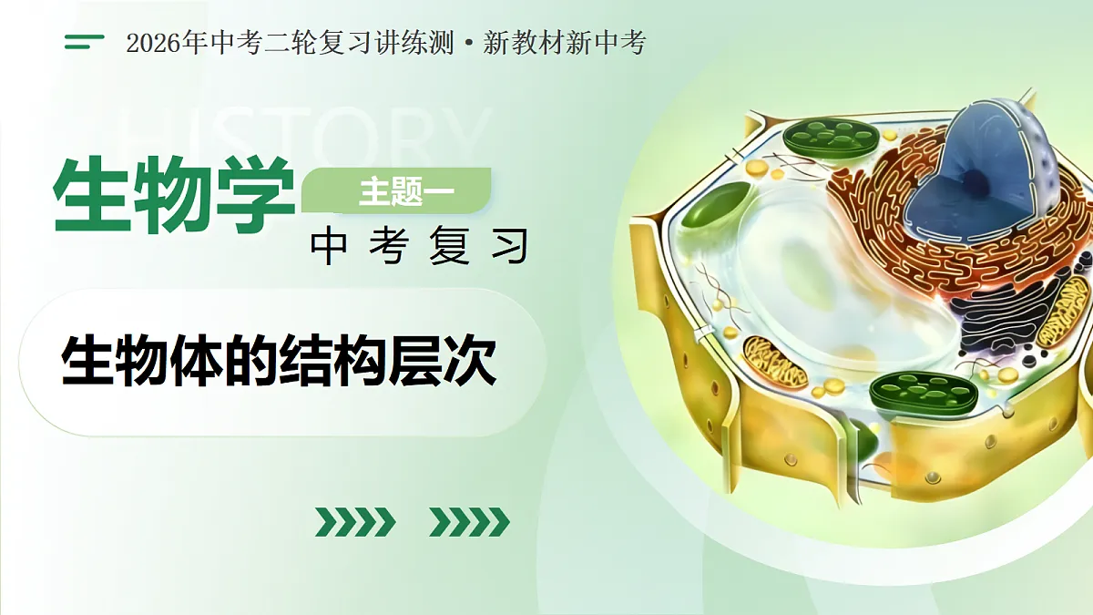 18232595第1页