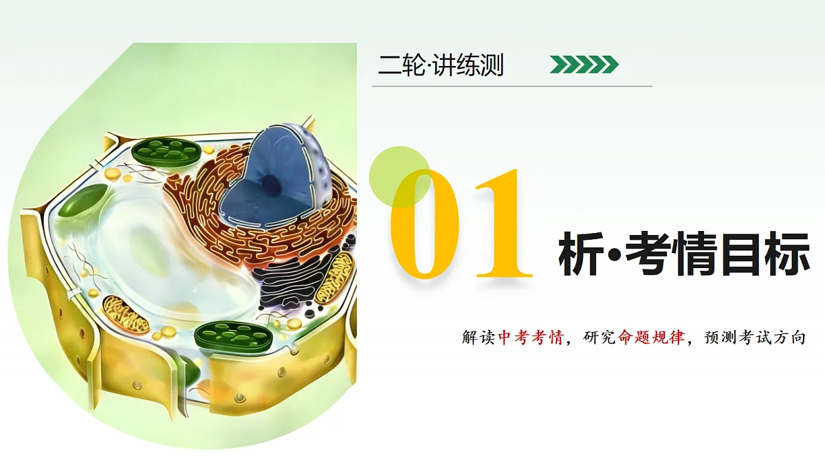 18232595第3页