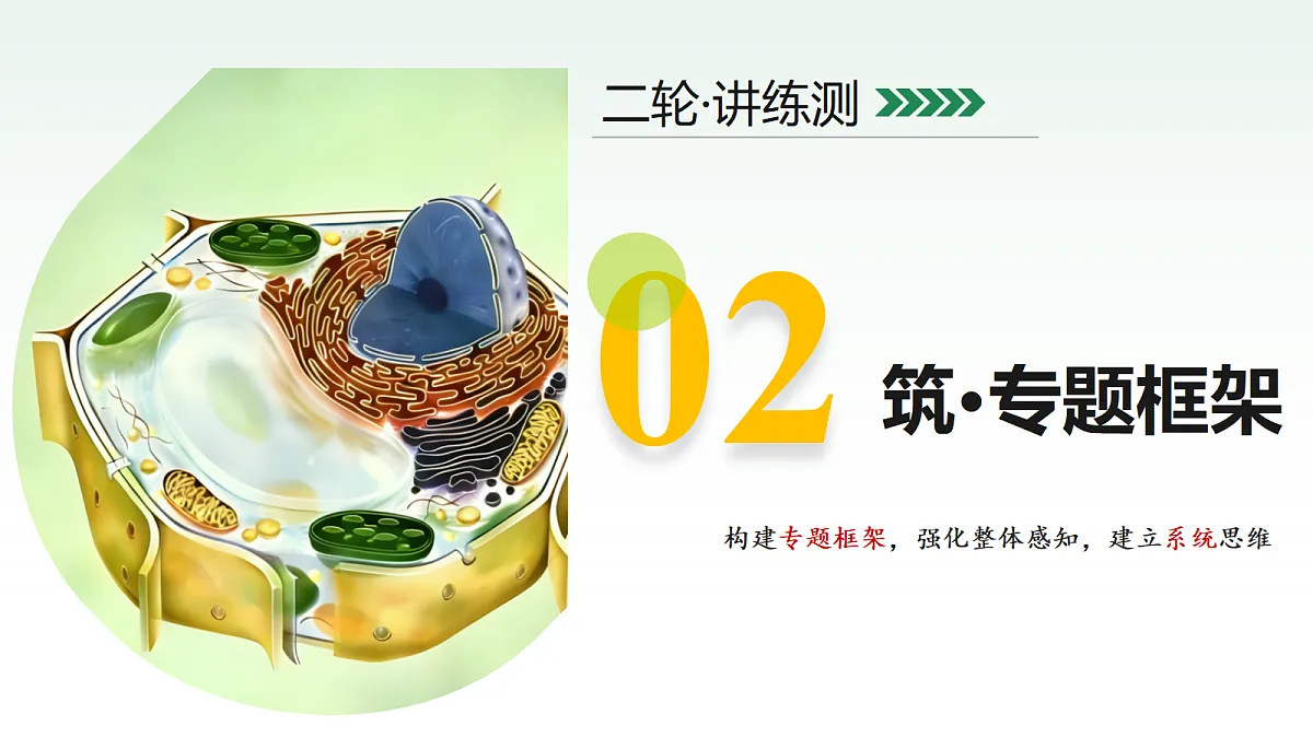 18232595第5页