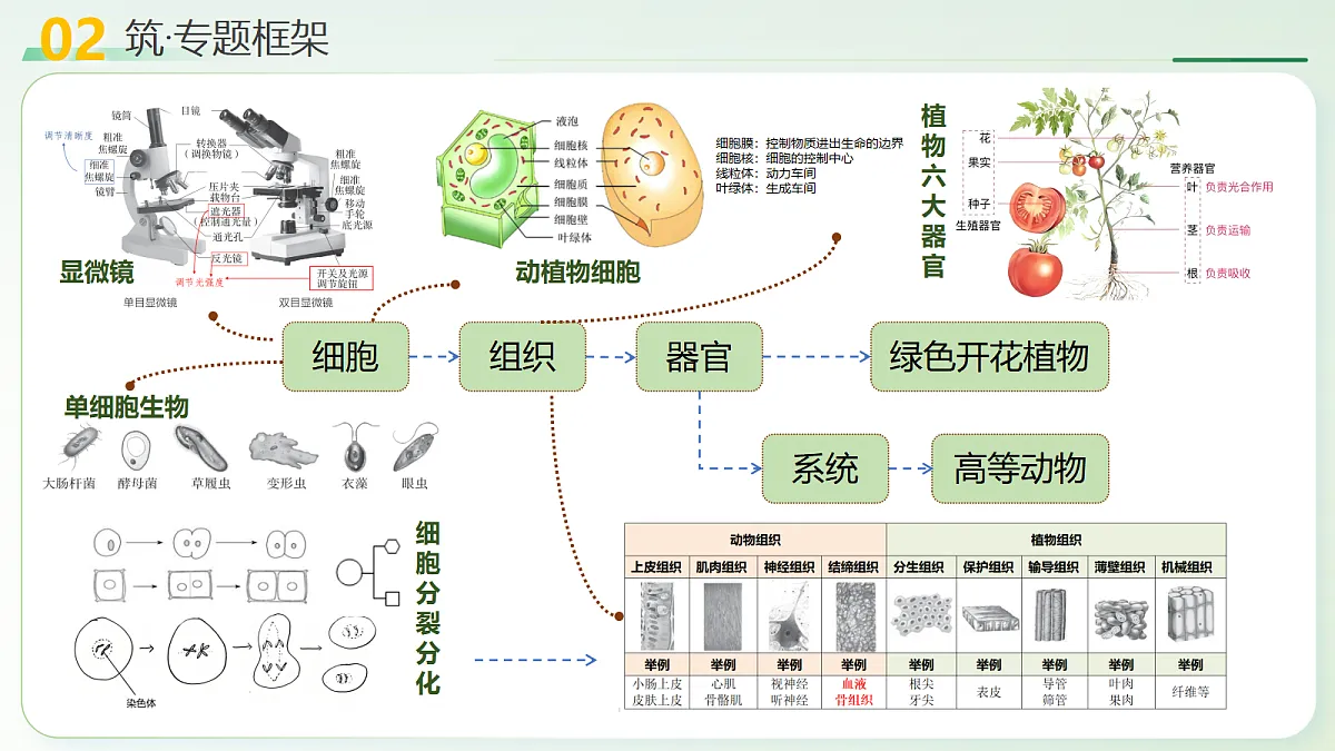 18232595第6页