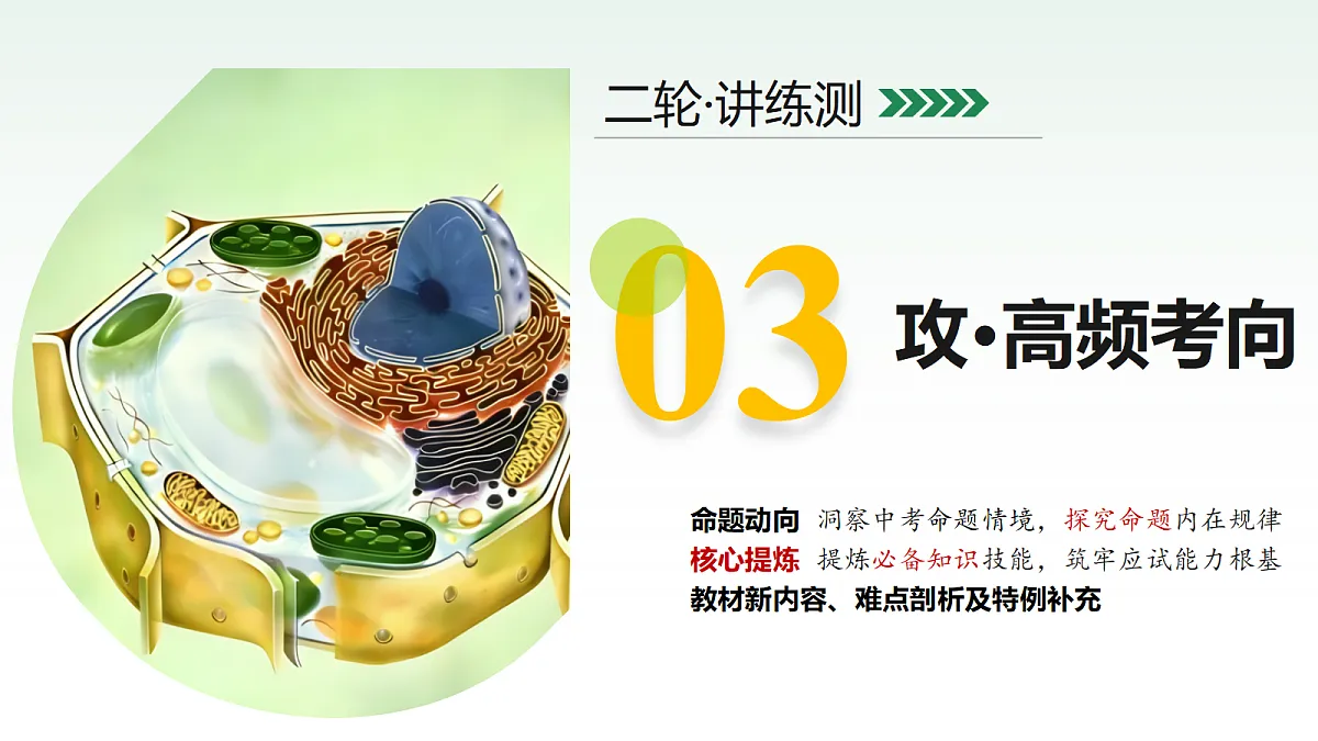 18232595第7页