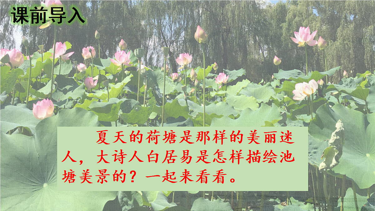 18233043第2页