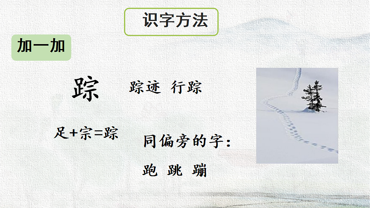 18233043第5页