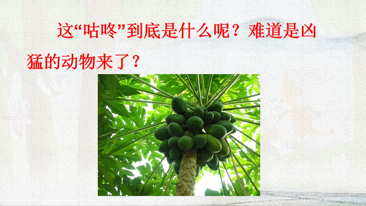 18233044第3页