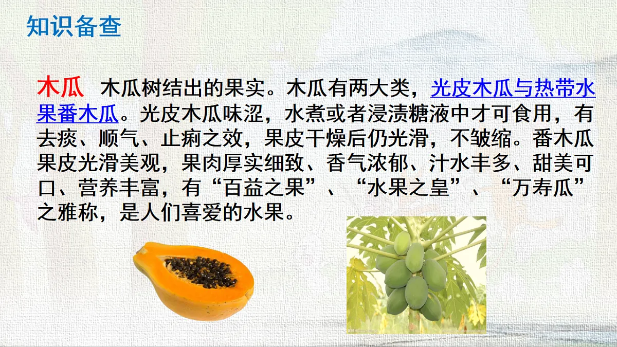 18233044第4页