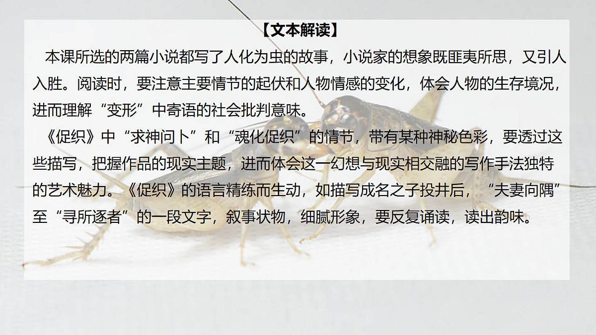 18234765第3页