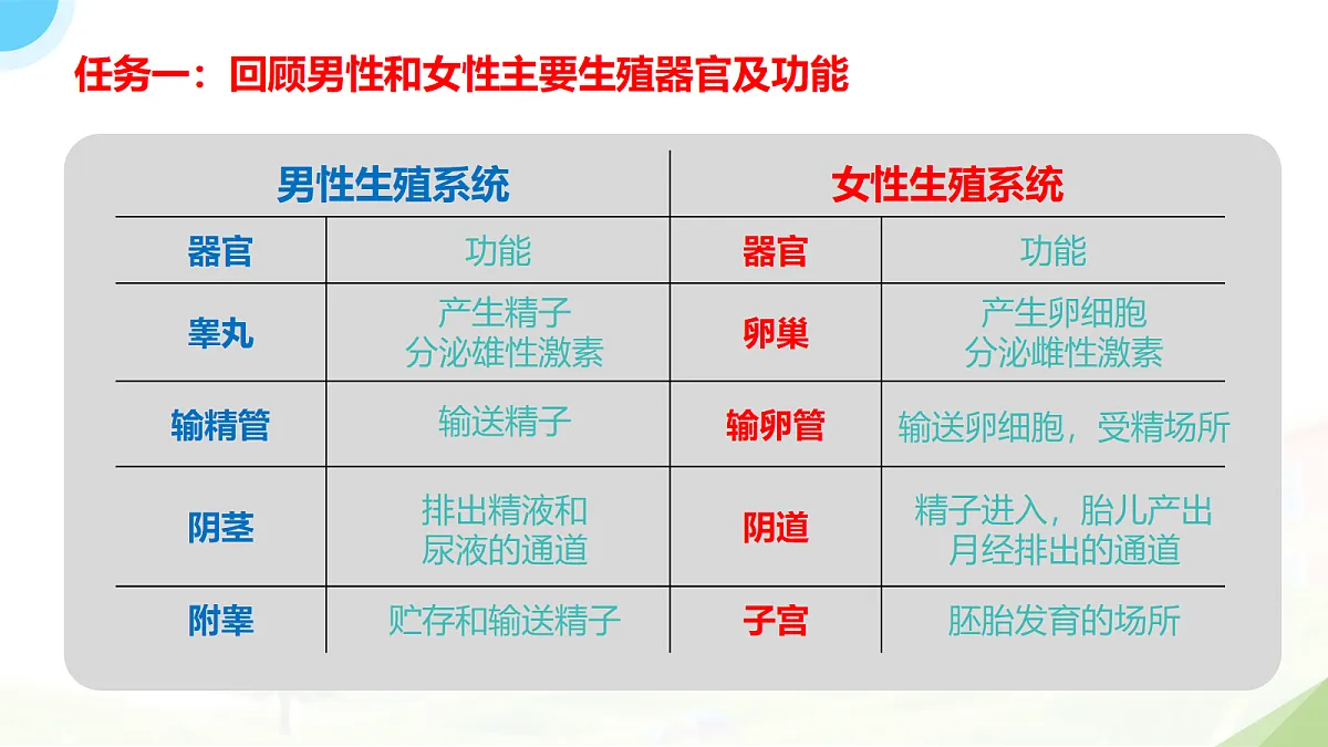 18235110第3页