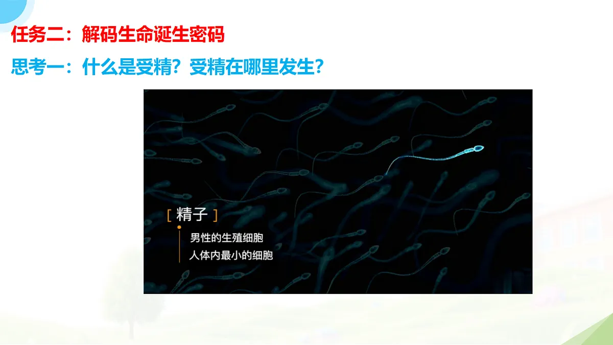 18235110第4页