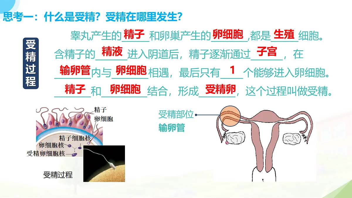 18235110第5页
