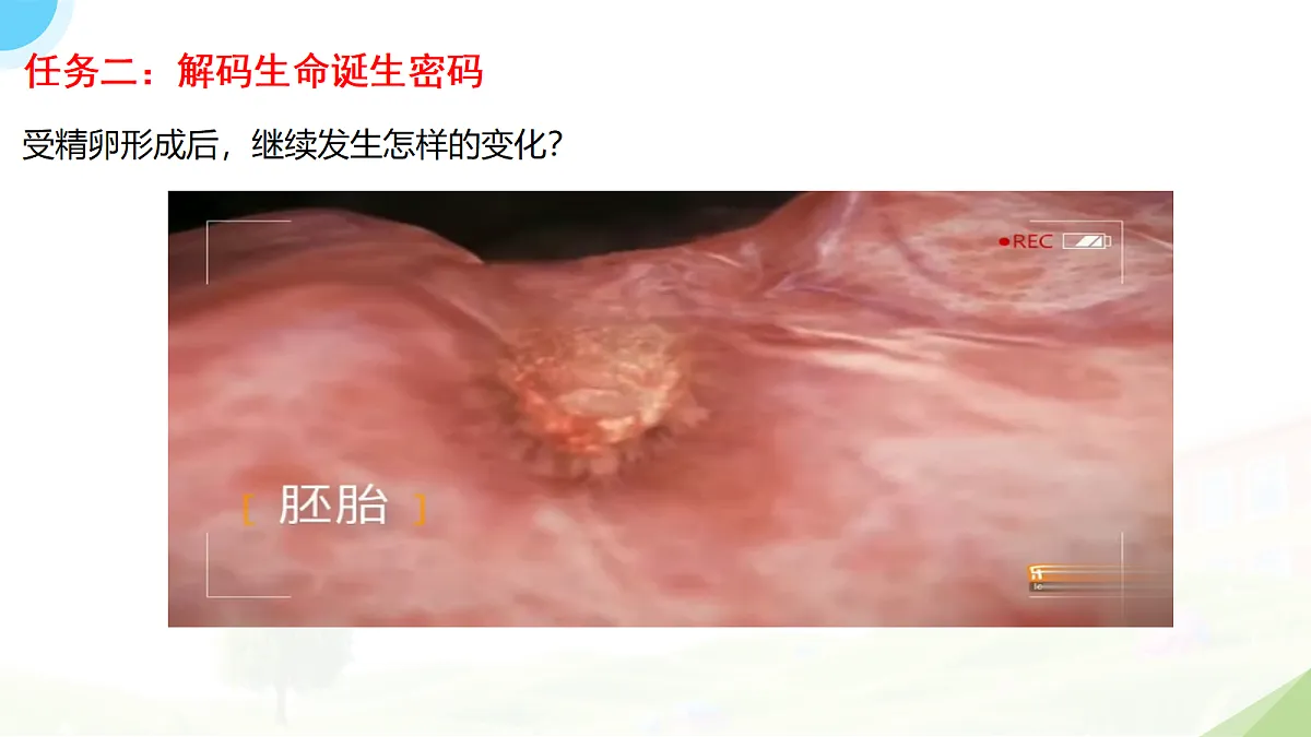 18235110第6页